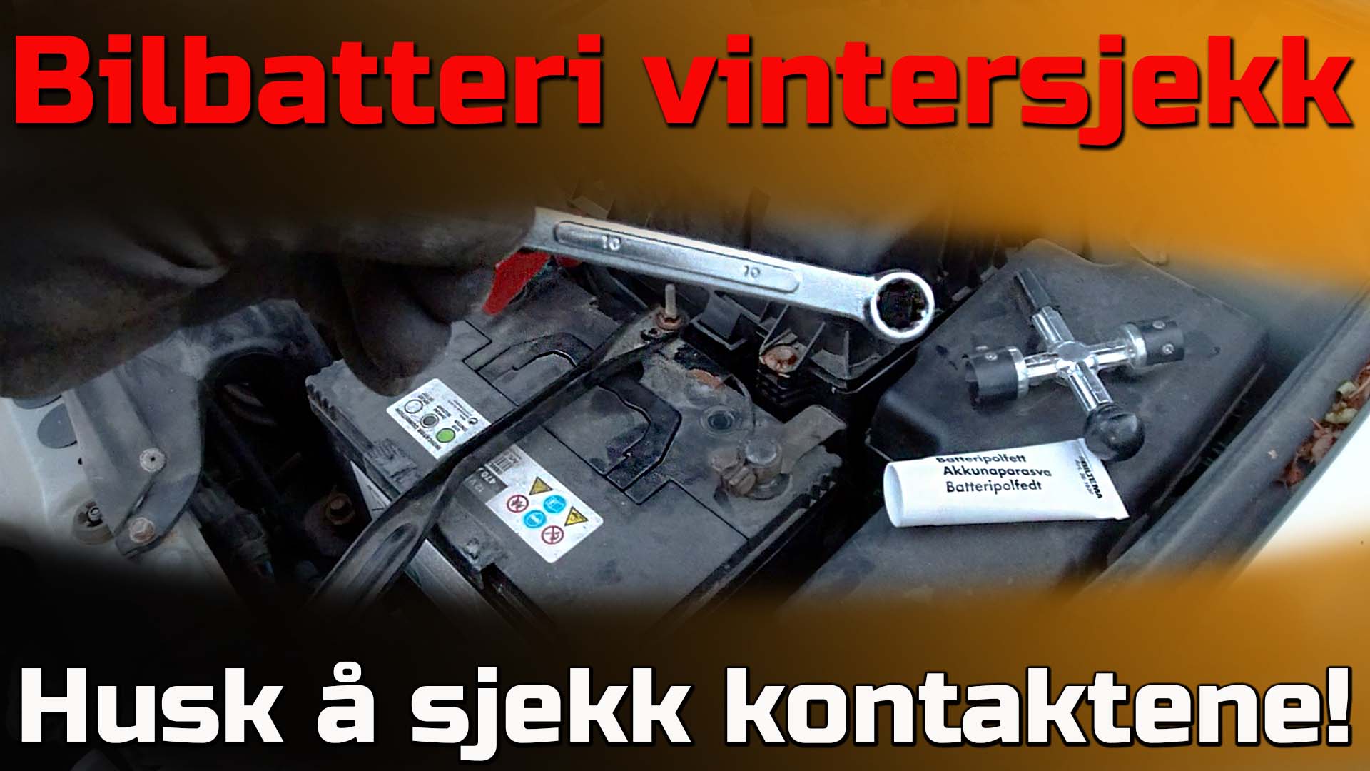 batteripoler_no copy